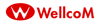 Điện thoại di động WellcoM A66