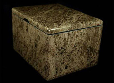 iPhone-3GS-Supreme-đắt-nhất-hành-tinh