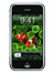 can ban hoac doi iphone 2g8g