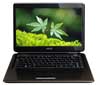 can ban gap Asus K40IN