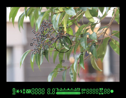 Hệ thống lấy nét 9 điểm và thông số hiển thị trong viewfinder