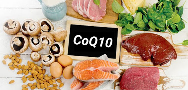 Các loại thực phẩm chứa nhiều Coenzym Q10