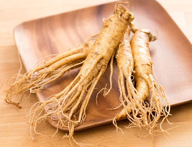 Nhân sâm (ginseng) là gì? Tác dụng của nó đối với sức khỏe