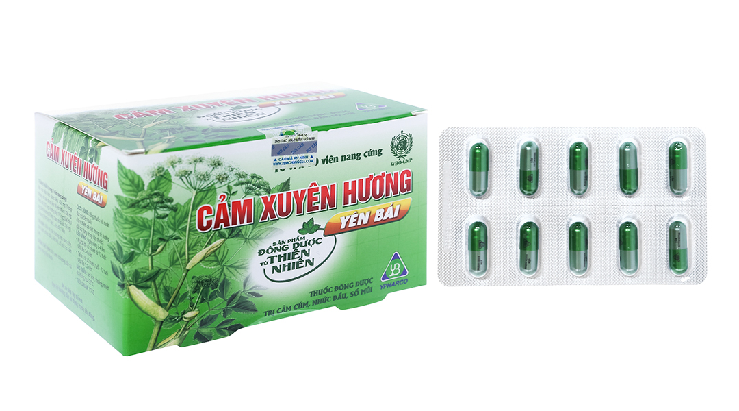 Cảm Xuyên Hương Yên Bái trị cảm cúm, cảm lạnh