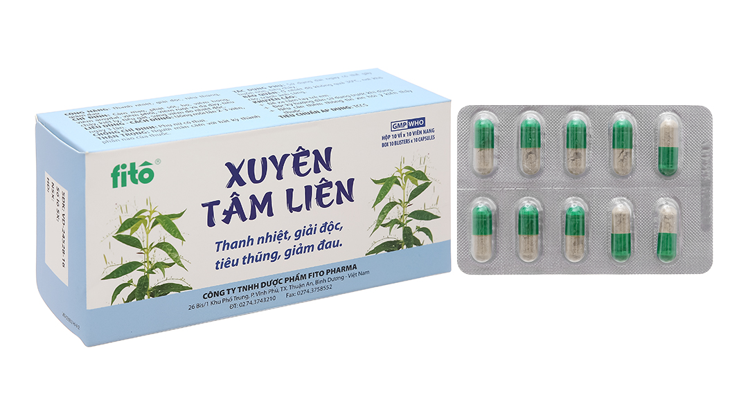 Thuốc Xuyên Tâm Liên: Công Dụng, Liều Lượng và Lưu Ý Quan Trọng