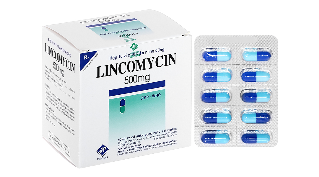 Lincomycin Vidipha 500mg trị nhiễm khuẩn nặng