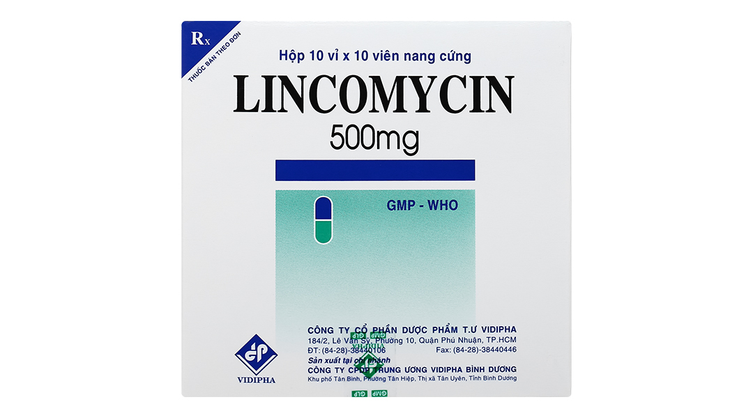 Lincomycin Vidipha 500mg trị nhiễm khuẩn nặng