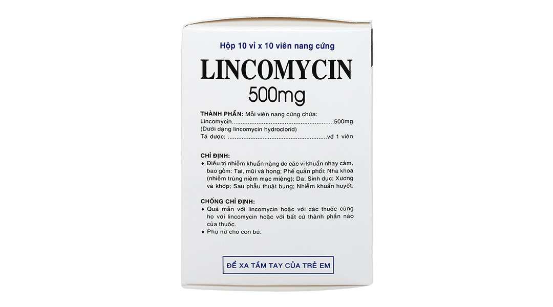 Lincomycin Vidipha 500mg trị nhiễm khuẩn nặng