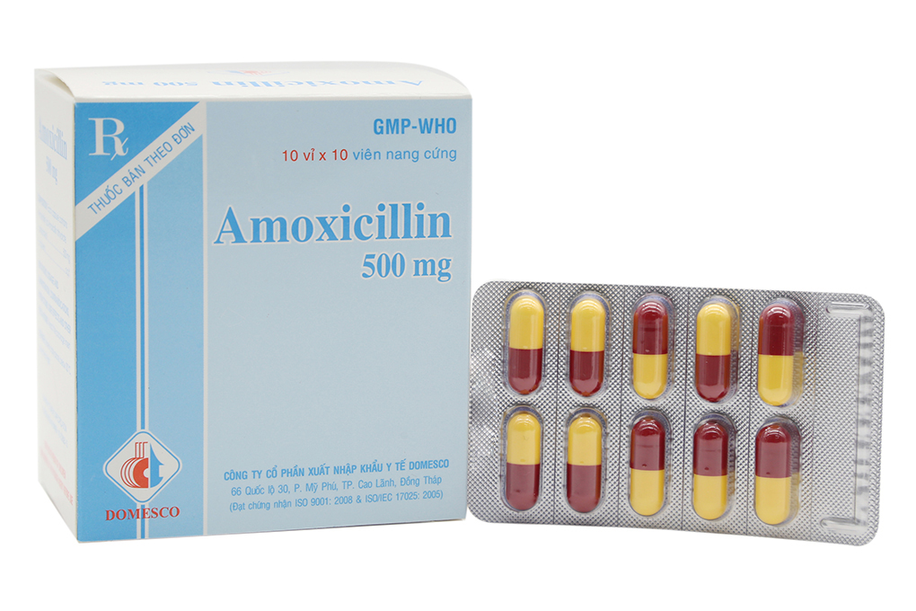 Hình Ảnh Thuốc Amoxicillin: Tất Cả Những Gì Bạn Cần Biết