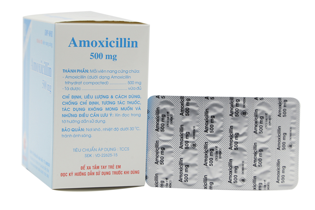 Amoxicillin Domesco 500mg trị nhiễm khuẩn