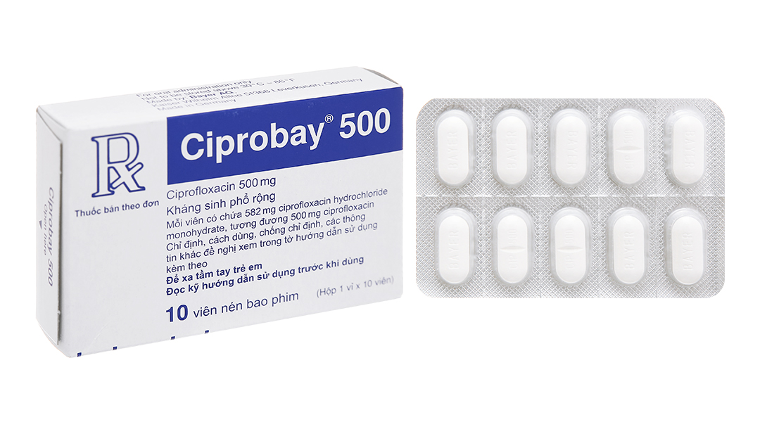 Ciprobay 500 trị nhiễm khuẩn