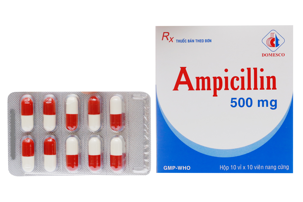 Ampicillin Domesco 500mg trị nhiễm khuẩn