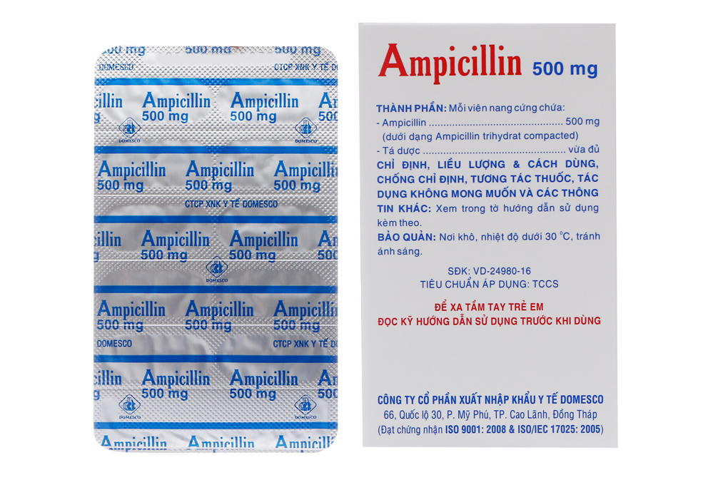 Ampicillin Domesco 500mg trị nhiễm khuẩn