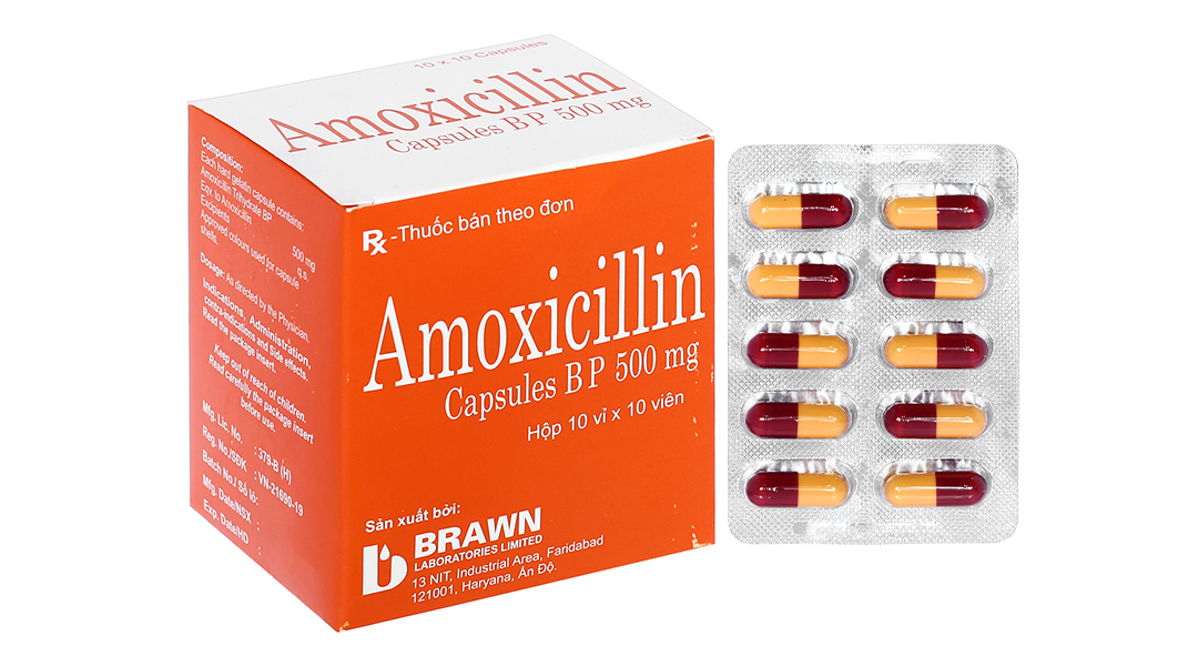 Những Điều Cần Biết Khi Sử Dụng Amoxicillin