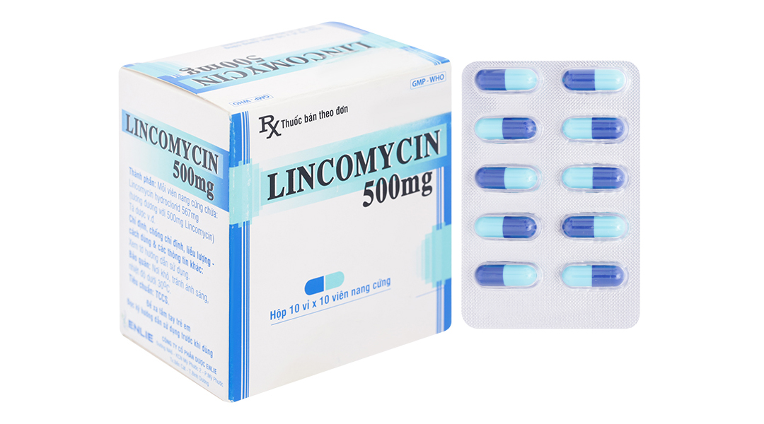 Lincomycin Enlie 500mg trị nhiễm khuẩn
