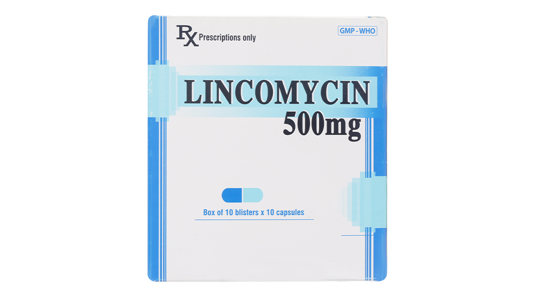 Lincomycin Enlie 500mg trị nhiễm khuẩn