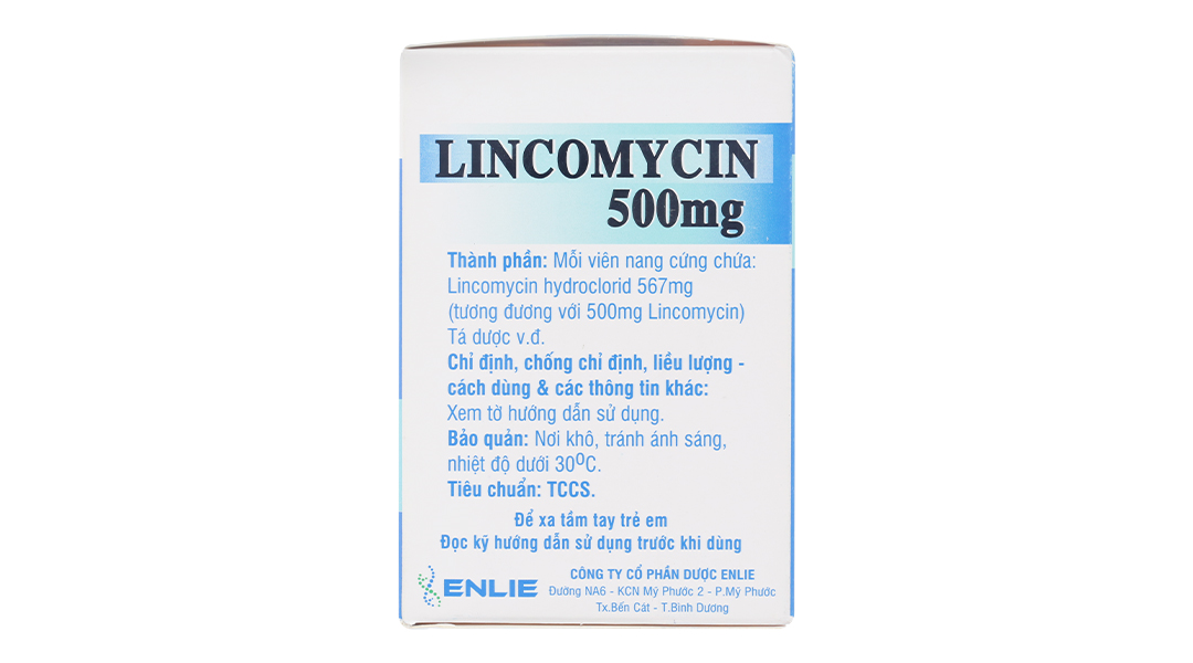 Lincomycin Enlie 500mg trị nhiễm khuẩn