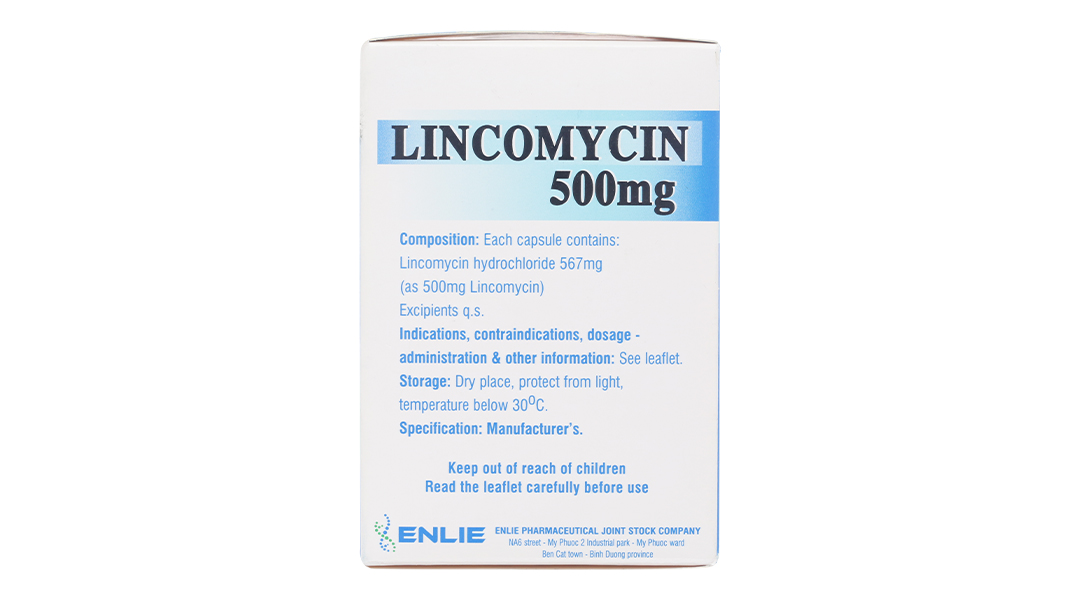 Lincomycin Enlie 500mg trị nhiễm khuẩn