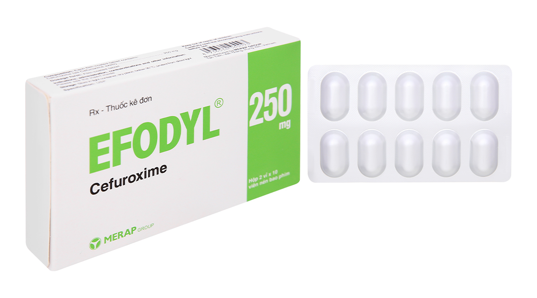 Efodyl 250mg điều trị nhiễm khuẩn
