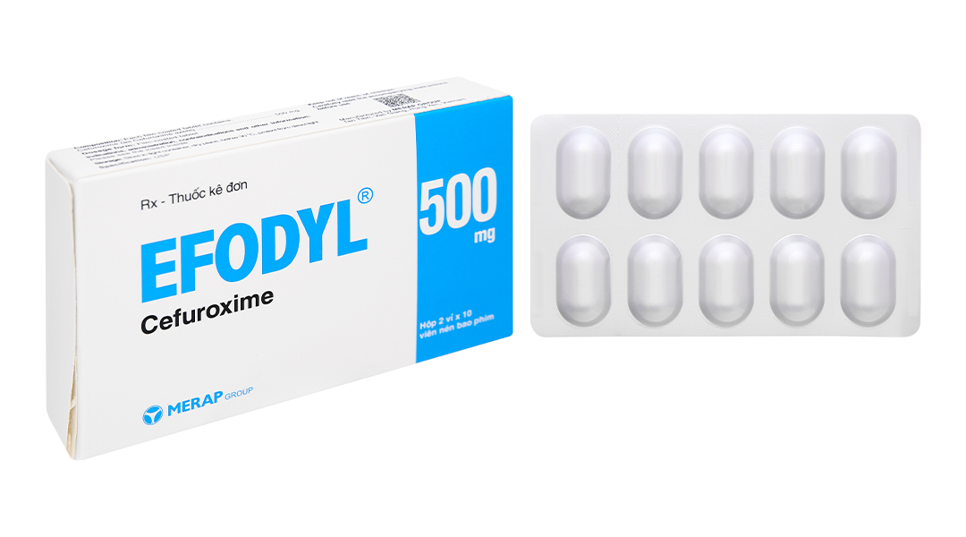 Efodyl 500mg trị nhiễm khuẩn