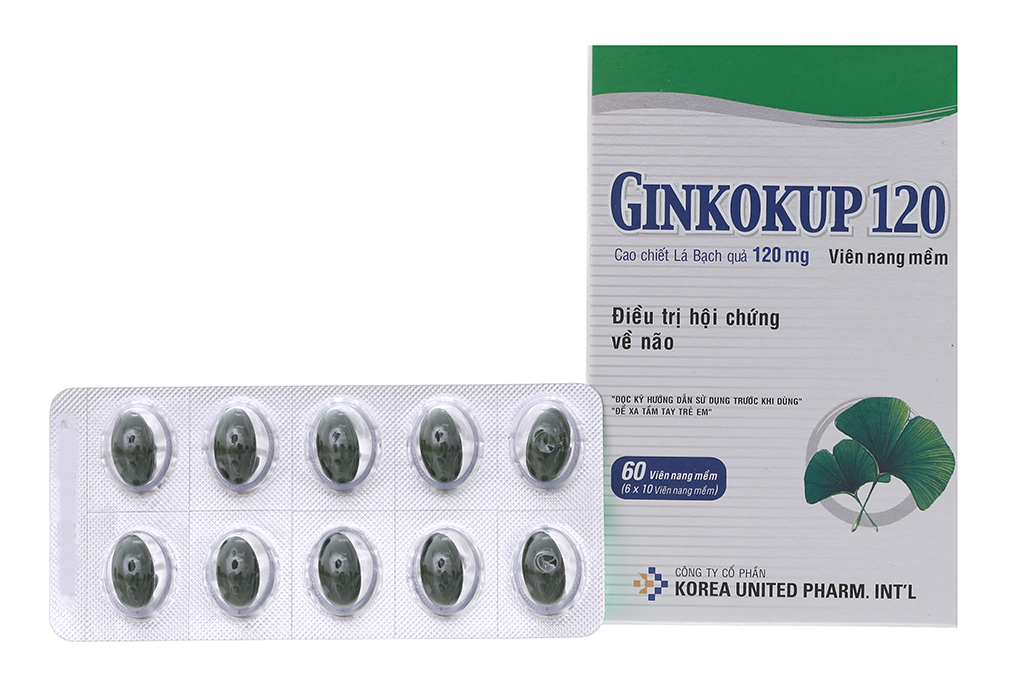 Ginkokup 120 tuần hoàn máu não, cải thiện trí nhớ