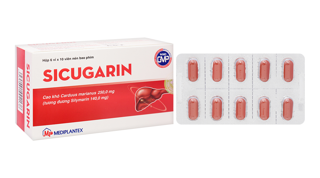 Sicugarin hỗ trợ trị bệnh viêm gan mãn tính, xơ gan