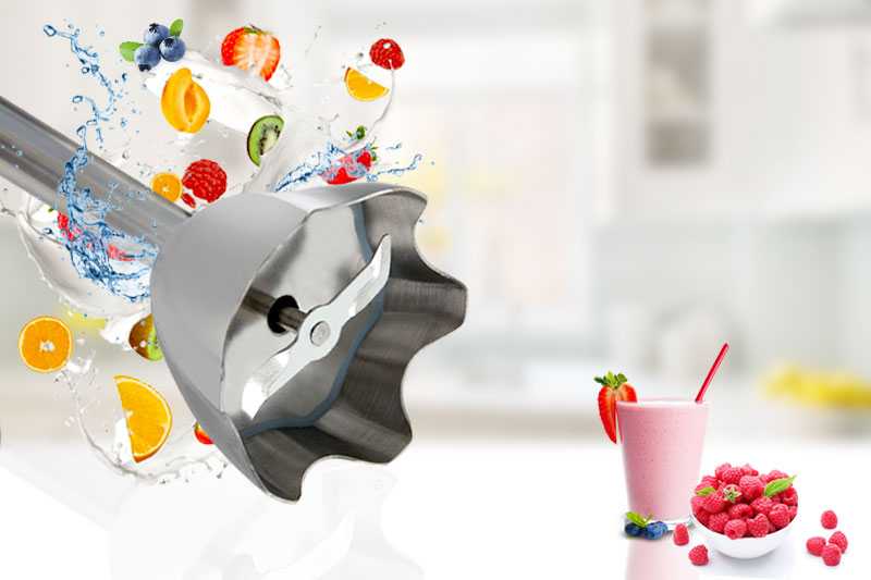 Máy xay sinh tố cầm tay Braun MQ 500 Soup