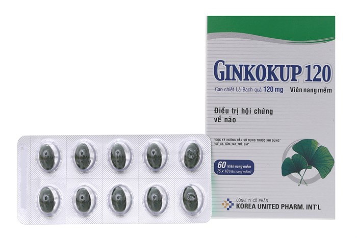 Sức khỏe, đời sống: Hướng dẫn cách sử dụng  Thuốc Ginkokup  Ginkokup-120mg-2-700x467