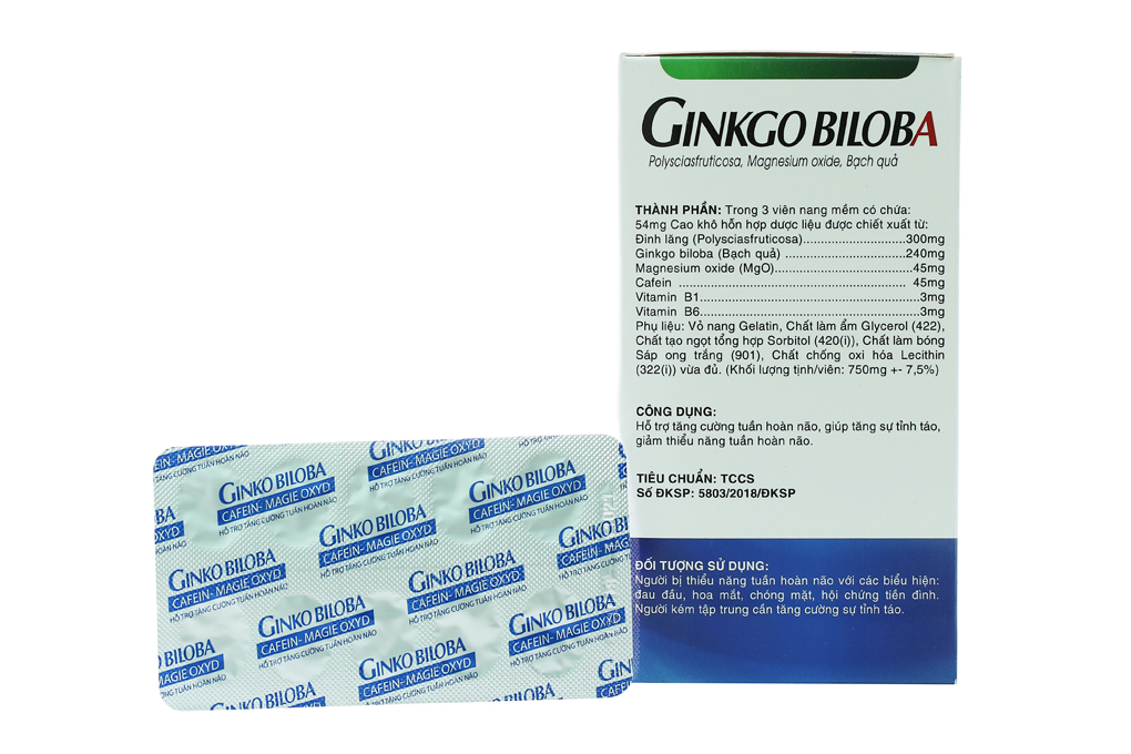 Ginkgo Biloba Mgo,B1,B6 hộp 100 viên
